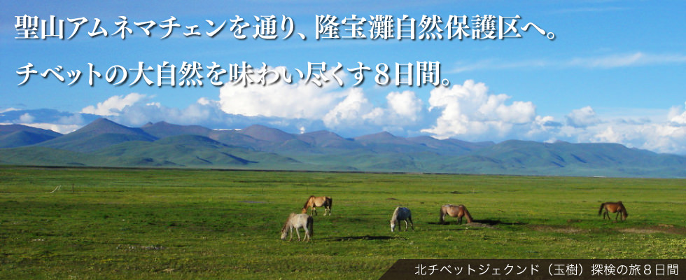 北チベットジェクンド（玉樹）探検の旅８日間